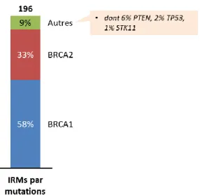 Figure 20 : Répartition des IRM par mutation génétique 
