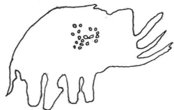 FIG. 8. - Eléphant. Peinture rupestre Masai. D'après H.