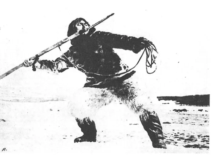 FIG. 6. - Eskimo lançant un harpon. Groenland. Cliché Musée de l'Homme.