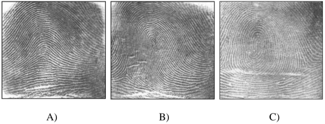 FIGURE 2.3: THE THREE RIDGES PATTERN OF THE FINGERPRINT WHERE A) ARCH  PATTERN; B) LOOP PATTERN AND C) WHORL PATTERN (SOURCE: FINGERPRINT