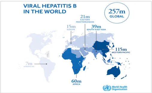 Figure   4   :   Prévalence   de   l’hépatite   virale   B   dans   le   monde.   Source   :   Organisation   Mondiale   de   la   Santé