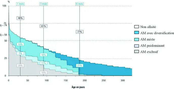 Figure 4 : Évolution des taux d’allaitement maternel (AM) de la naissance à 12 mois,   Épifane 2012-2013, France (6)