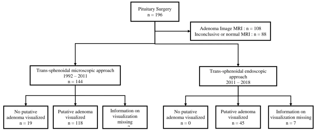 Figure 2: Surgical approach and per-operative visualization data 