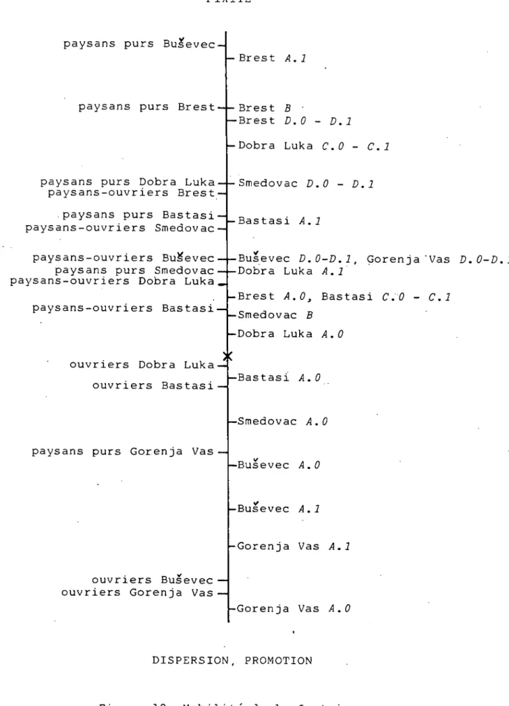 Figure 10. Mobilité de la fratrie.