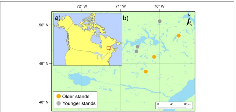 FIGURE 1 | Study area location (a) in the boreal zone of North America and (b) the location of study blocks by stand type in the Monts-Valin and North Shore regions of Quebec, Canada.