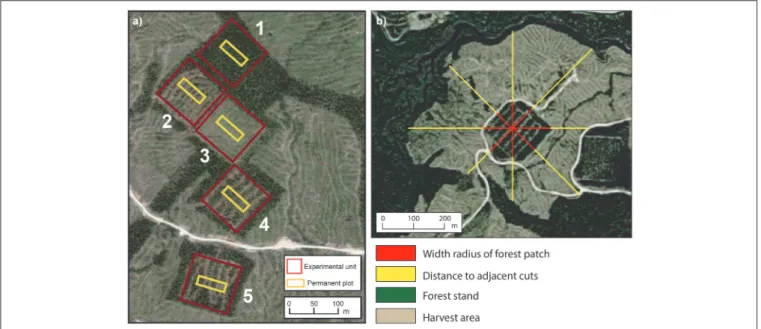 FIGURE 3 | (a) Representation of 3-ha experimental units (red squares) and location of permanent plots (yellow rectangle) for a study block, where number refer to: (1) control, (2) mini-strip shelterwood, (3) seed-trees, (4) distant selection, and (5) clos