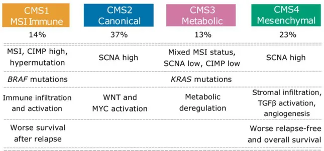 Figure 2 : Classification du cancer colorectal en 4 sous types moléculaires  Source : Guinney et al., Nature Med 2016  