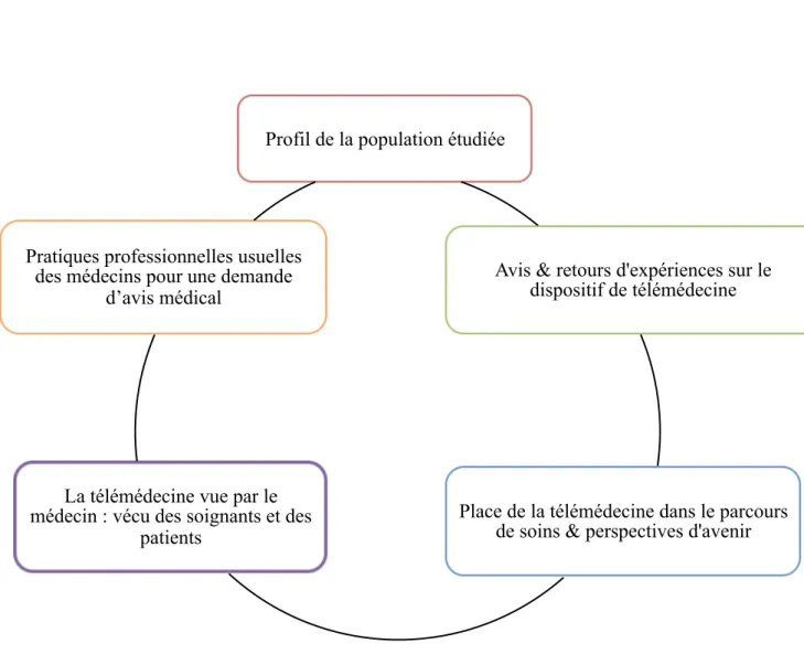 Figure 1 : Les cinq thèmes  Profil de la population étudiée 