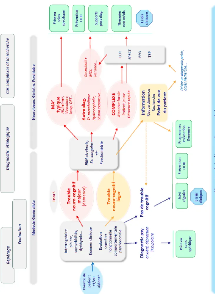 Figure 5 : Stratégie diagnostique en France proposée par le Rapport CLANET (34)