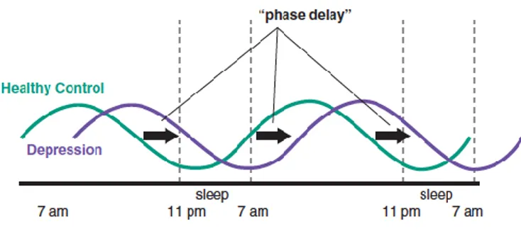 Figure 7 : comparaison des rythmes biologiques éveil-sommeil entre sujets sains et déprimés  (Stahl 2013) 