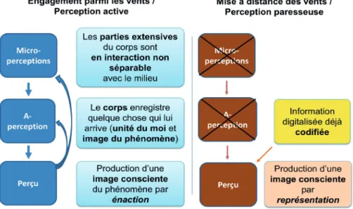 Fig. 3. Schéma du processus de perception d’un phénomène éolien en fonction d’un  engagement sensible (à gauche) ou d’une lecture de carte météorologique (à droite) 16