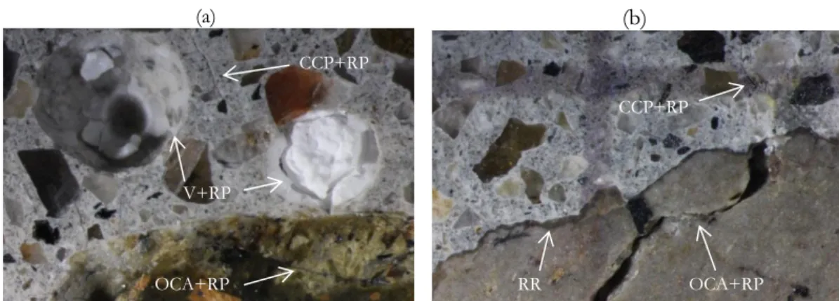 FIGURE 3: Typical damage caused by ASR. (a) Reaction product in air voids (V+RP), opened crack  in a coarse aggregate particle with reaction product (OCA+RP) and crack in the cement paste with  reaction product (CCP+RP); (b) Reaction rim (RR), opened crack