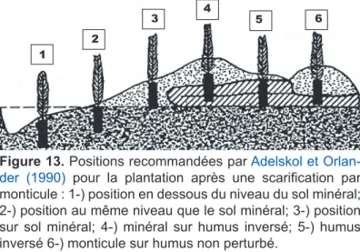 Figure 13. Positions recommandées par Adelskol et Orlander (1990) pour la plantation après une scarifi- scarifi-cation par monticule : 1-) position en dessous du niveau du sol minéral; 2-) position au même niveau que  le sol minéral; 3-) position sur sol m
