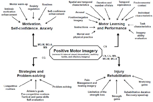 Figure 3: Modèle MIIMS : 4 catégories et ses composants clés, d’après Guillot et Collet(40)  CS:  cognitive  specific;  CG:  cognitive  general;  MG-M:  motivational  general-mastery;  MG-A: 