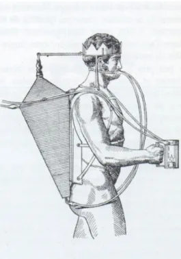 Figure 4 : Le triton de Drieberg 