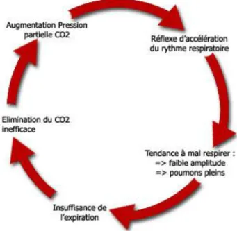 Figure 6 : Le cercle vicieux de l’hypercapnie 