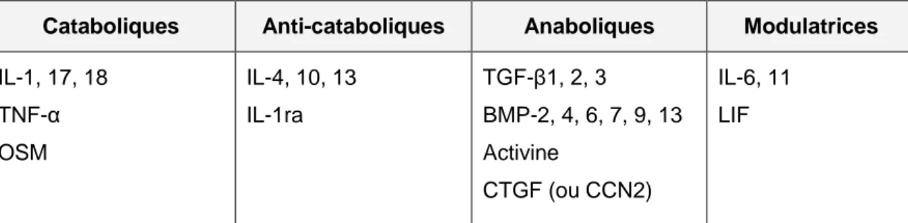 Tableau  II :  Classification  des  cytokines  exprimées  dans  le  cartilage  articulaire  (Goldring  &amp; 