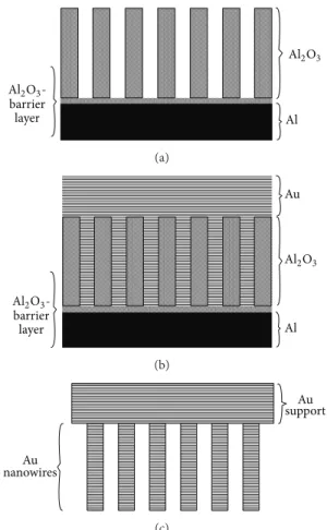 Figure 3: Synthesis of gold nanowires using porous aluminum oxide membrane template [27].