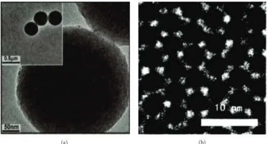 Figure 8: TEM image of mesoporous silica. (a) Silica microsphere. (b) Mesoporous silica thin film [50, 51].