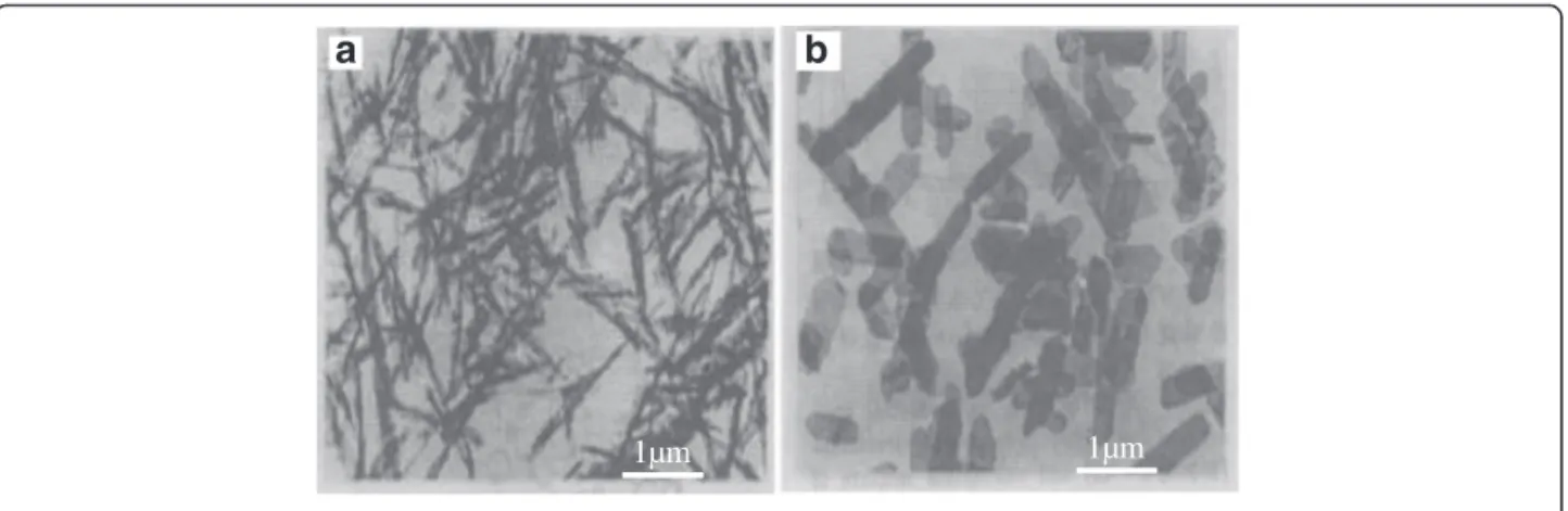 Fig. 4 TEM image of α -Al 2 O 3 . a Needle-like α -Al 2 O 3 . b Plate-like α -Al 2 O 3