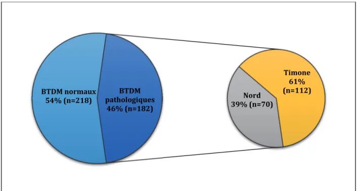 Figure 3. Résultats des BTDM et répartition selon le centre d’accueil. 