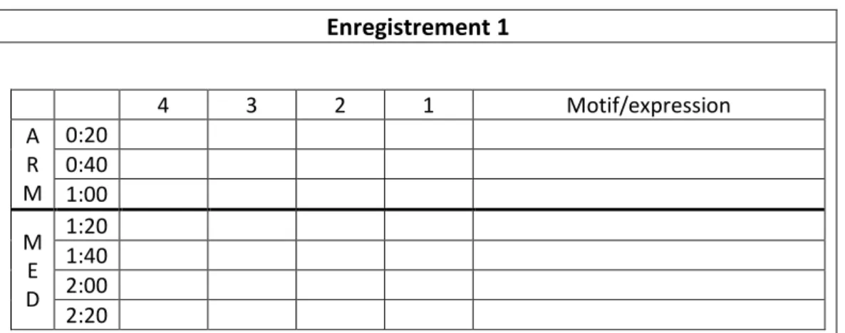 Figure 1. Exemple de questionnaire à remplir pour chaque enregistrement 