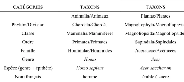 Tableau 1. Catégories traditionnelles avec les taxons correspondant à deux espèces bien connues 