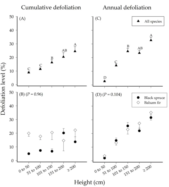 Figure 5. Cumulative defoliation level (%) among height classes (cm) for both seedling species  combined (A) and between the conifer species (balsam fir and black spruce) (B)