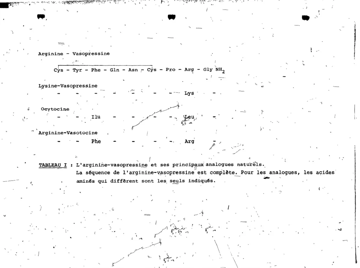TABLEAU  l  :  L'arginine-vasopressin~ et  ses  princip~ux'analogues  naturêls . 