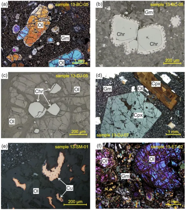 Figure 2.2 Transmitted (a, d, f) and reflected (b, c, e) light photomicrographs showing: (a)  fresh olivine phenocrysts in  a picrite sample; (b) euhedral microphenocrysts of  chromites  surrounded  by  Ti-rich  overgrowth  rims;  (c)  subhedral  olivine-h