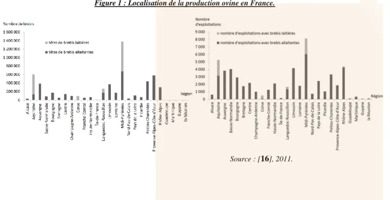 Figure 1 : Localisation de la production ovine en France. 