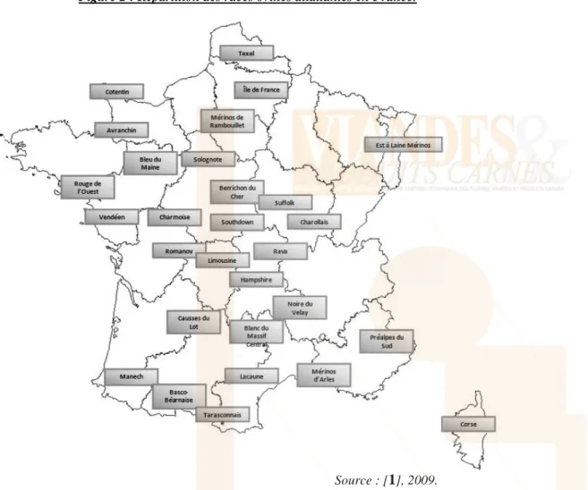 Figure 2 : Répartition des races ovines allaitantes en France. 