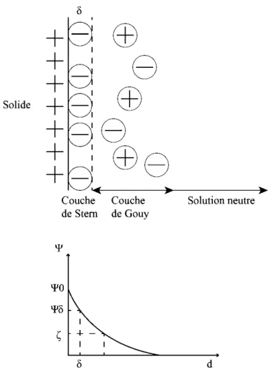 Figure 2-3:  Illustration de  la double  couche  électronique  par le  modèle  Gouy-Chapman (d'après  Bouchard (2001), Fuerstenau and Raghavan (2007) et Cao et al