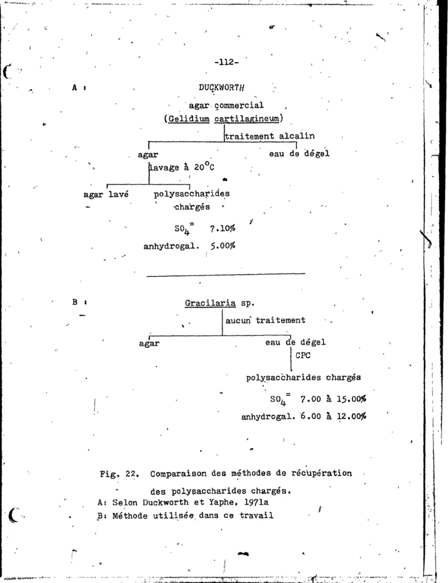 Fig.  22.  Comparaison  des  méthodes  de  récupération  des  poly~accharides  chargés