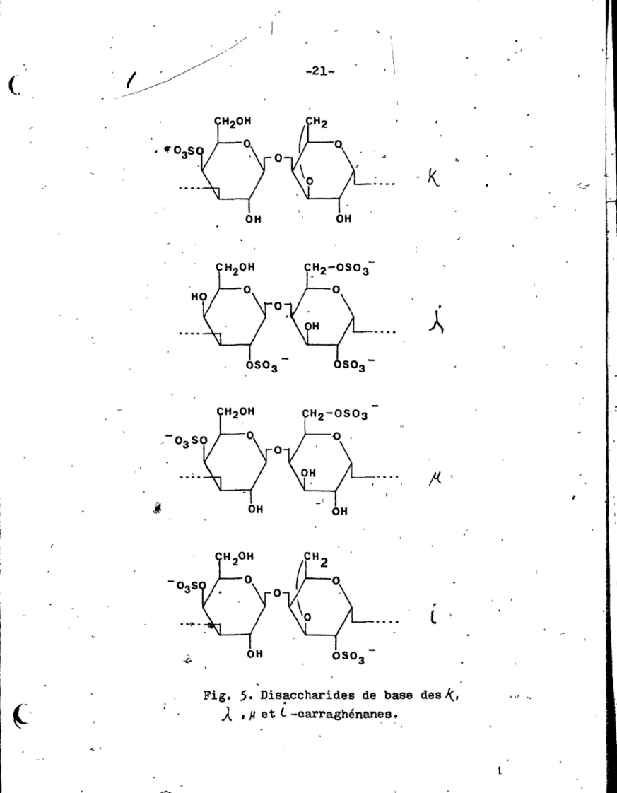 Fig.  5.  Dis~ccharides  de  base  des  1(,  . '"  ~ 
