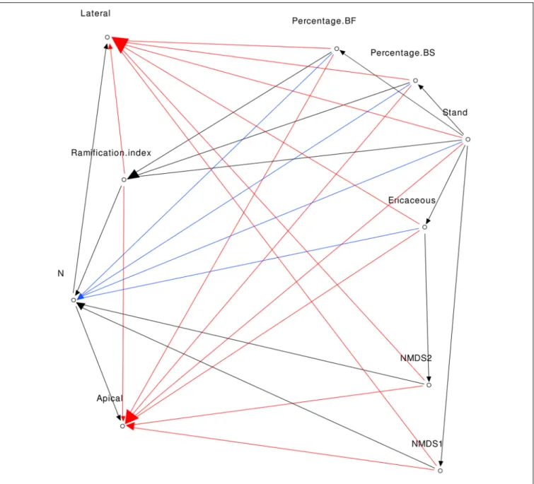 FIGURE 1 | Direct acyclic graph of Mod1 (red, blue, and black arrows), Mod2 (blue and black arrows), and Mod3 (black arrows).