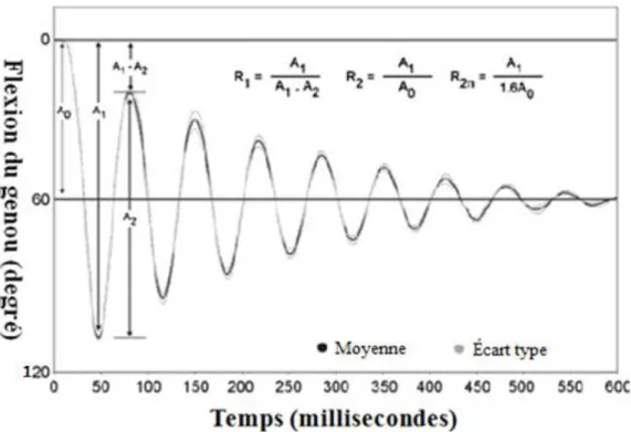 Figure  9:  Motion  du  genou  sur  un  patient  sain  durant  le  test  pendulaire  et  les  formules des ratios calculés