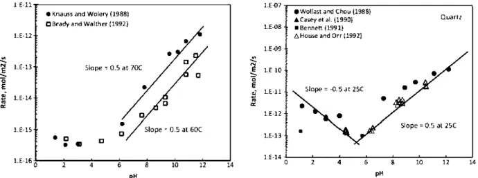 Figure 2.21  Taux de dissolution du quartz à différentes températures en  fonction du pH  (Crundwell,  2014b) 