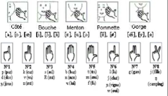 Figure  1 :  positions  de  la  main  pour  les  voyelles  et  formes  de  mains  pour  les  consonnes  (adapté  de  Attina  et al