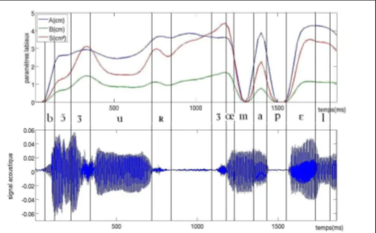 Figure    2 :  images  des  codeurs.  A gauche : le codeur  normo-entendant de l’étude précédente ([7]) ; A droite :  le codeur sourd analysé dans cette étude