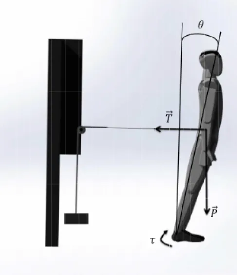 Fig. 1. Tether-release system used for the second standing test.