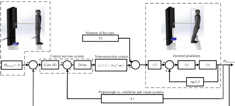 Fig. 2. Closed-loop balance Model.
