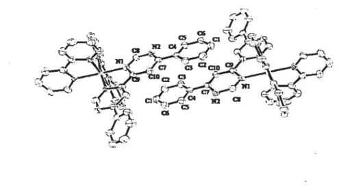 Figure 3.2. Les empilements 71 entre deux molécules de complexe.