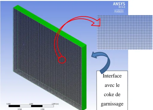 Figure 3.11. Maillage et conditions aux limites du domaine des anodes 