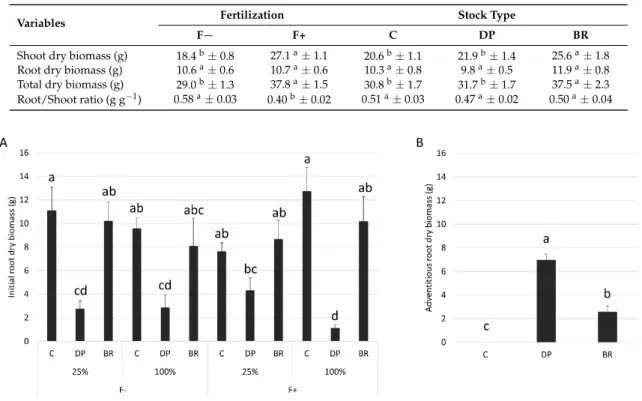 Table 2. Mean (± SE) of shoot, root, and total dry biomass and root/shoot ratios according to  fertilization (F− without and F+ with fertilization) and stock type (C, containerized seedlings; DP,  deeply-planted containerized seedlings; and BR, bareroot se