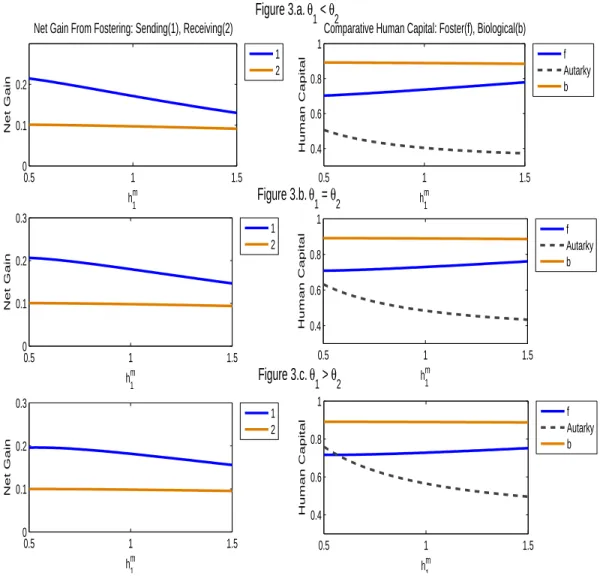 Figure 3. Foster child’s human capital and household’s welfare when λ = 0.3 .