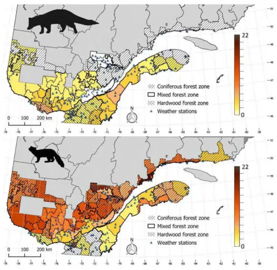 Figure 3.1  Average yields  (number ofpelts sold per 100 km 2 )  for fisher (top) and  marten (bottom) accordingto fur-bearing animal management unit (FAMU) in Quebec,  Canada,  between  the  1984-1985  and  2014-2015  trapping  seasons