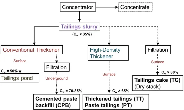 Figure 1. General scheme of conventional methods of the tailings management. 