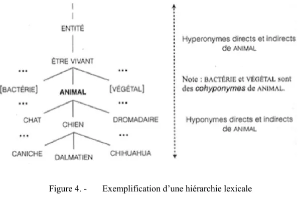 Figure 4. -   Exemplification d’une hiérarchie lexicale   (tirée de Polguère, 2016, p.184) 