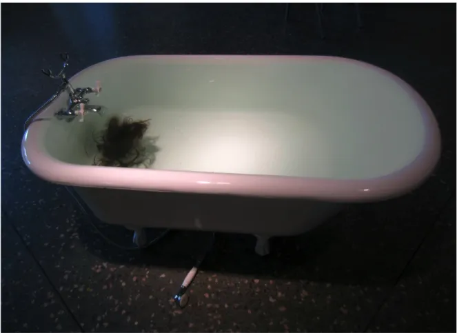 Figure 1.10 (Première version). Au fond du bain, 2013 